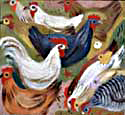 Grandma's Chickens